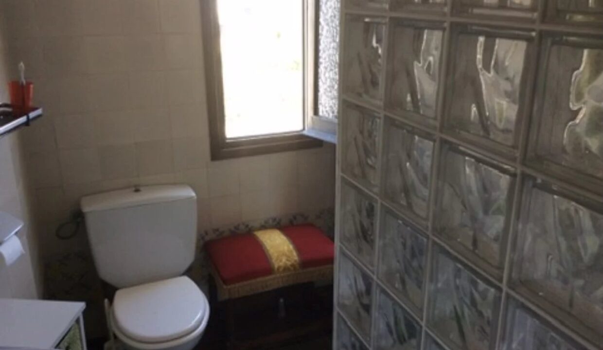 Picture-86104366-15 (2)