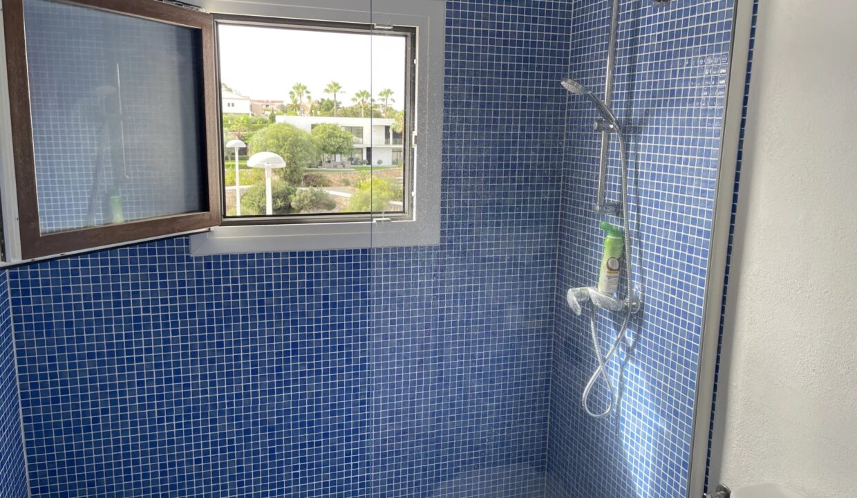 Picture-86104366-16 (2)