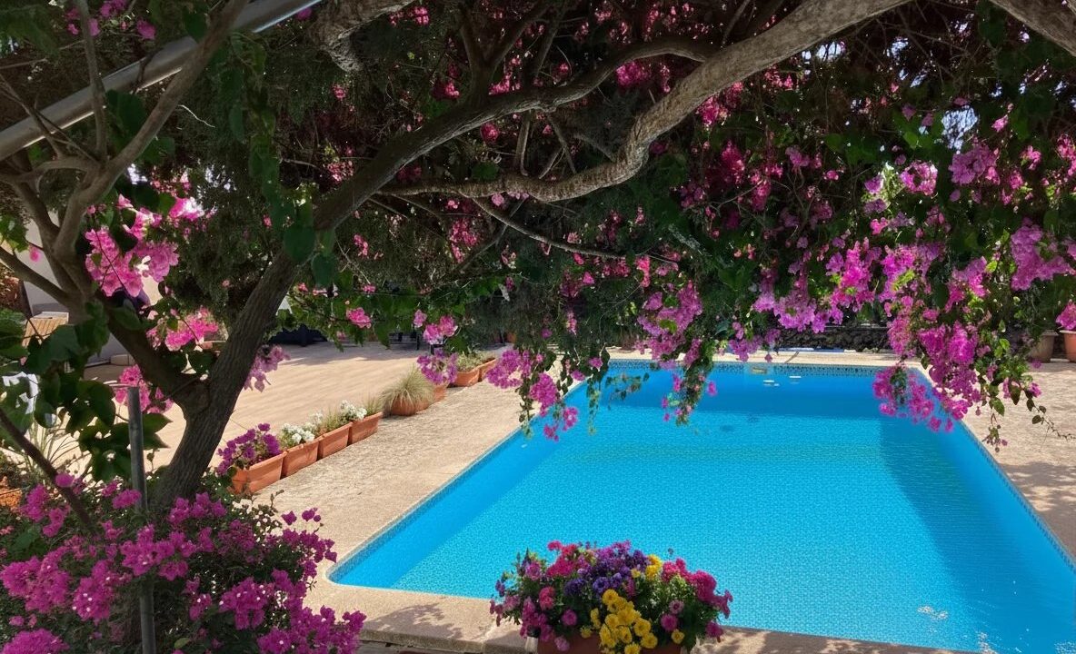 Picture-86391408-2 (1)